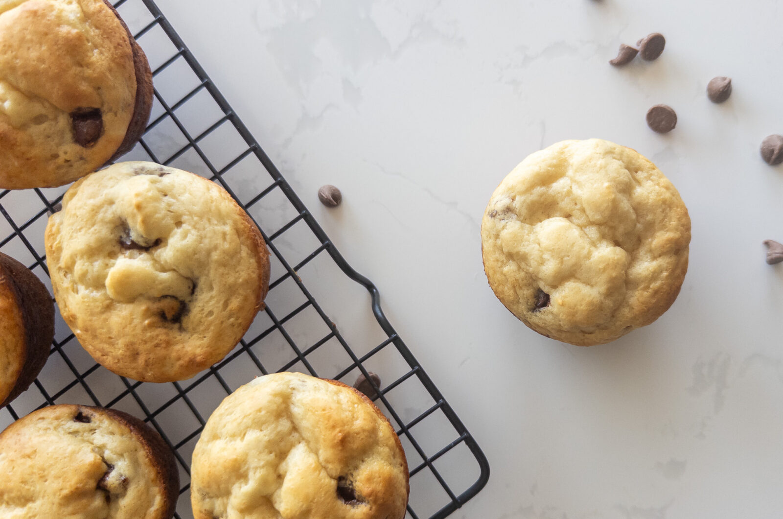 High Protein Chocolate Chip Muffins